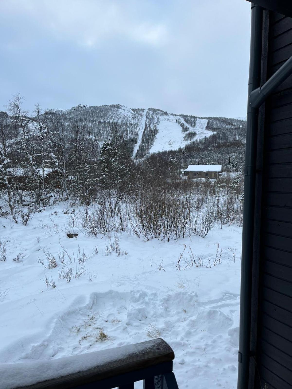 BeitostolenRett Ved Raudalen Alpinanleggアパートメント エクステリア 写真